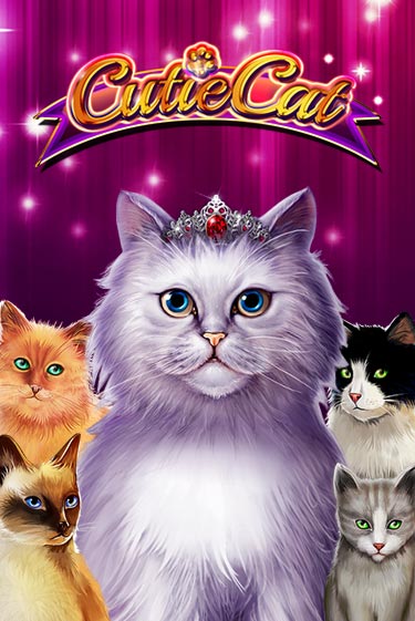 Cutie Cat демо игра казино без регистрации | PokerDom